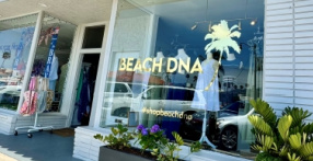 BEACH DNA