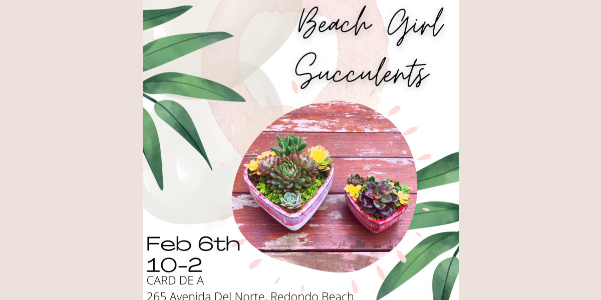 card-de-a-beacg-girl2